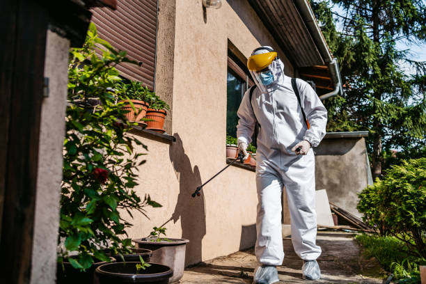 Best Wasp Removal Services  in Succasunna, NJ