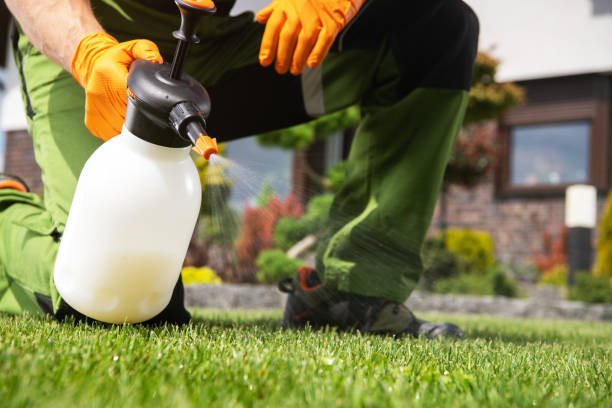 Best Affordable Pest Control Services  in Succasunna, NJ