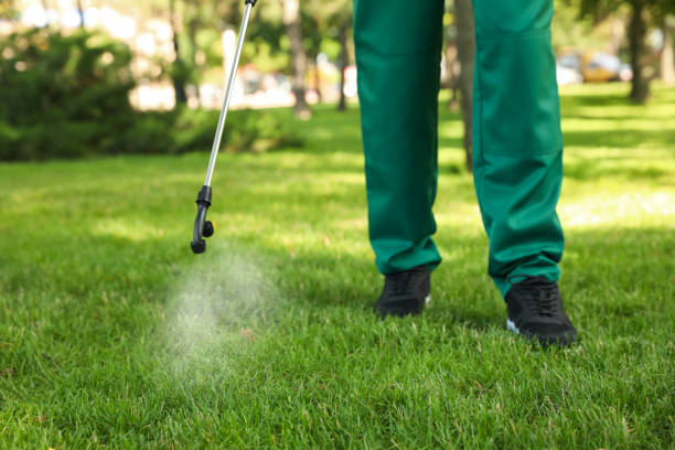 Best Flea Control Services  in Succasunna, NJ