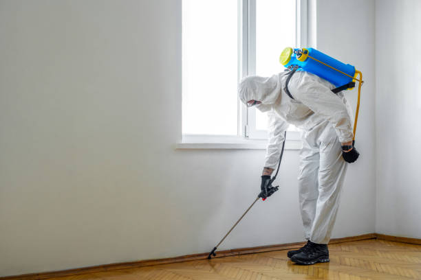 Best Affordable Pest Control Services  in Succasunna, NJ