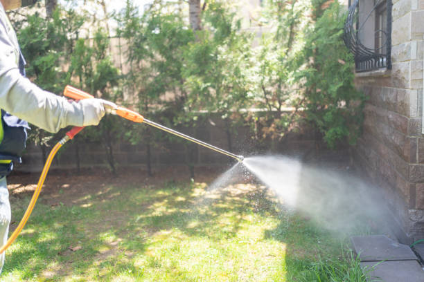 Best Termite Control Services  in Succasunna, NJ