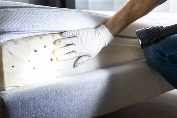 Best Wildlife Control Services  in Succasunna, NJ