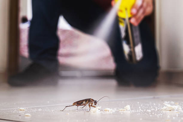 Best Exterminator Services  in Succasunna, NJ