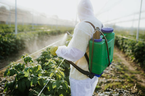 Wildlife Control Services in Succasunna, NJ